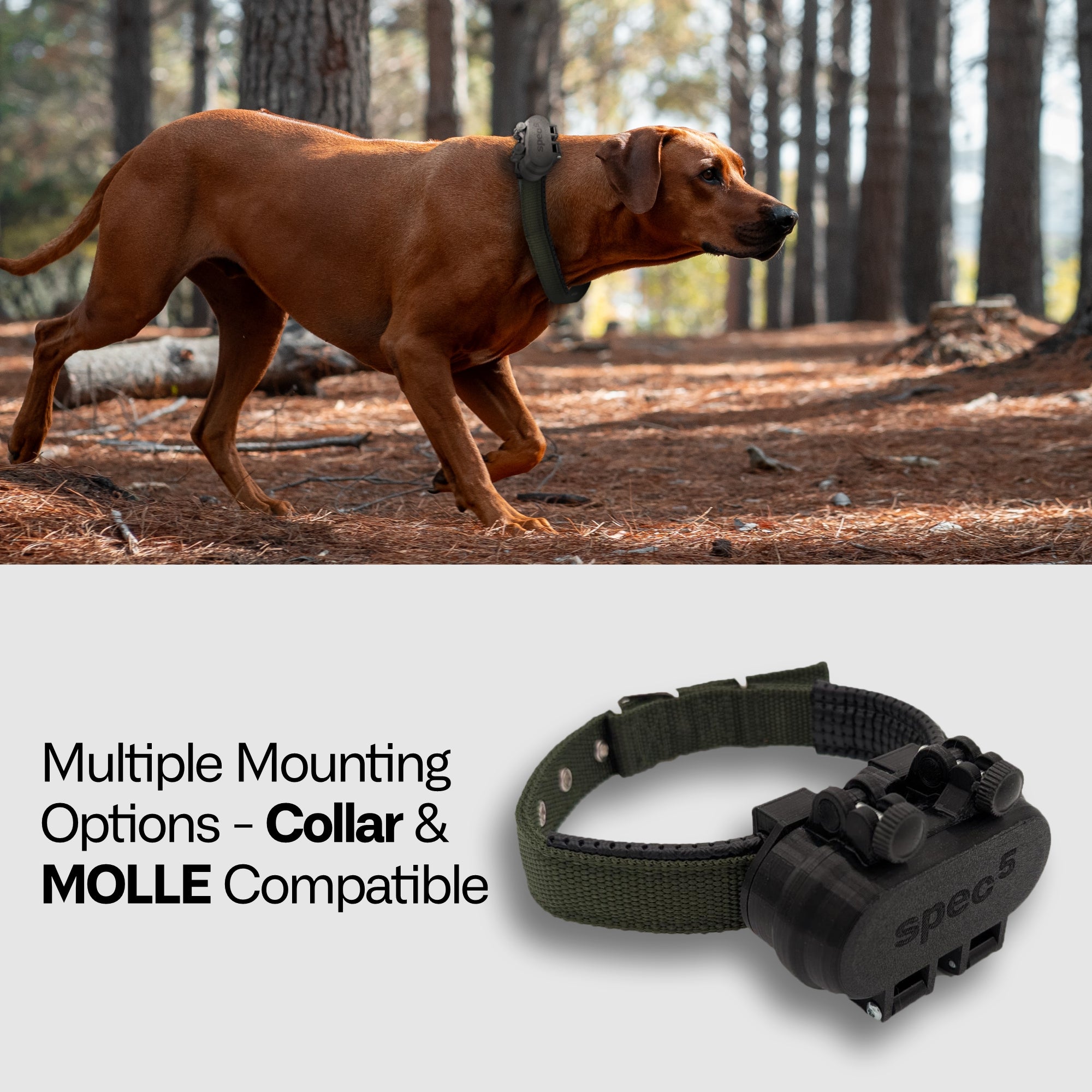 Spec5 Trace GPS Tracker