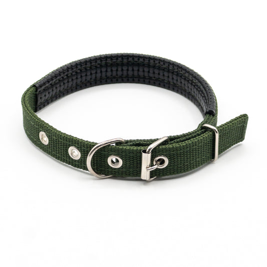 18-Inch Green Trace Collar